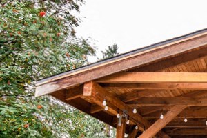 Tacoma Apartments - Altitude 104 Apartments - Common Patio, Gas Grills, and Gas Fire Pit